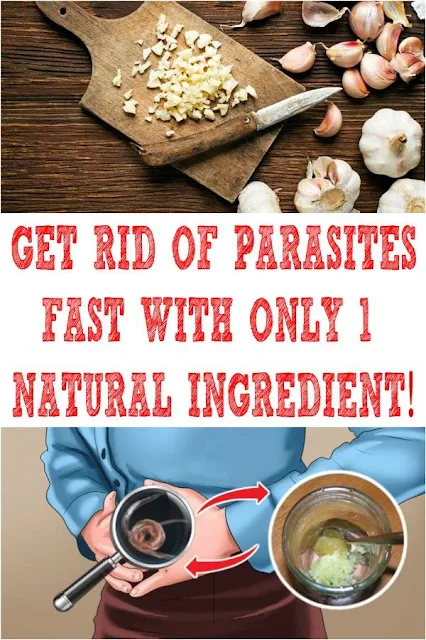 The Top Eight Herbs You Need To Get Rid Of Parasite Infestation