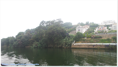 cidade do Porto; Rio Douro; conhecendo Portugal;  Passeio de barco pelo Rio Douro; Rota do Douro; viagem à Europa