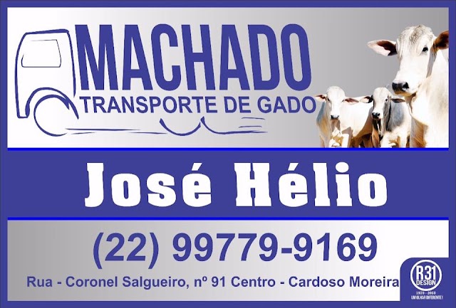 Para transportar seus gados com qualidade em toda Região é com Machado Transporte de Gados