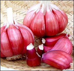 alho-seus-beneficios-saude-Not1