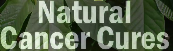 natural cancer cures