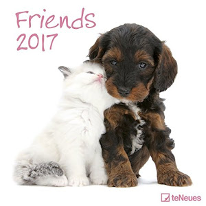 Friends 2017: teNeues Broschürenkalender