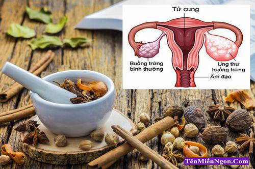 Thuốc chữa ung thư buồng trứng dễ kiếm ngay tại nhà