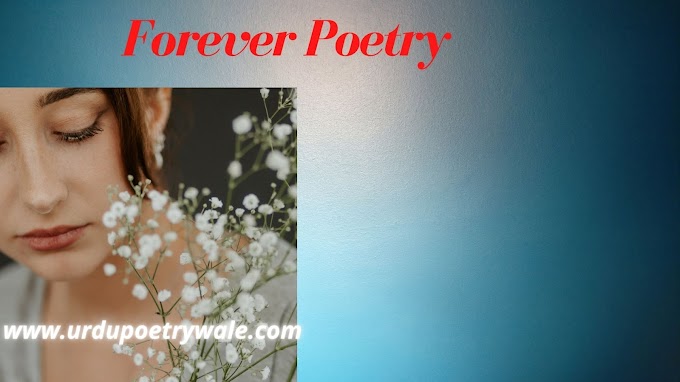  Forever Poetry|Forever Poems|Forever Life|Forever Ideas|Forever Love Poetry|Forever English Poetry