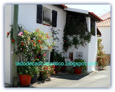 Casa de esquina com fachada florida numa ruelas do povoado do Ameal, Torres Vedras, Portugal