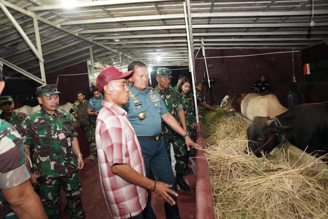 Yakinkan Kelancaran Gerakan Nasional Ketahanan Pangan, Panglima TNI Cek Langsung ke Lapangan