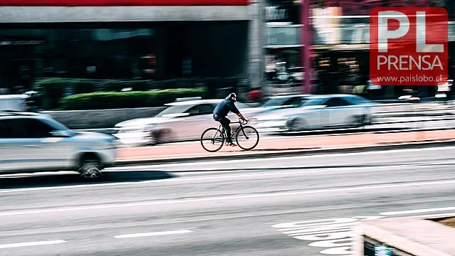 Día Mundial de la Bicicleta: ¿cómo evitar las lesiones?