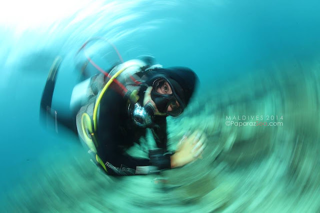 Scuba Diving, Underwater Photography, Learn Scuba, Learn Photography