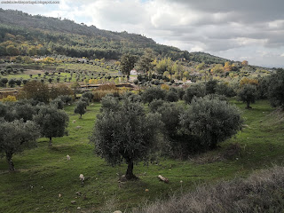 NATURE VIEWS / Fotografias de natureza, Castelo de Vide