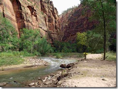 Zion #11