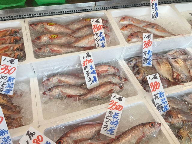 Ei Log 幸丸 アカムツ釣り 初挑戦のアカムツ釣りはサバの猛攻 そして釣ったというより釣れたアカムツ