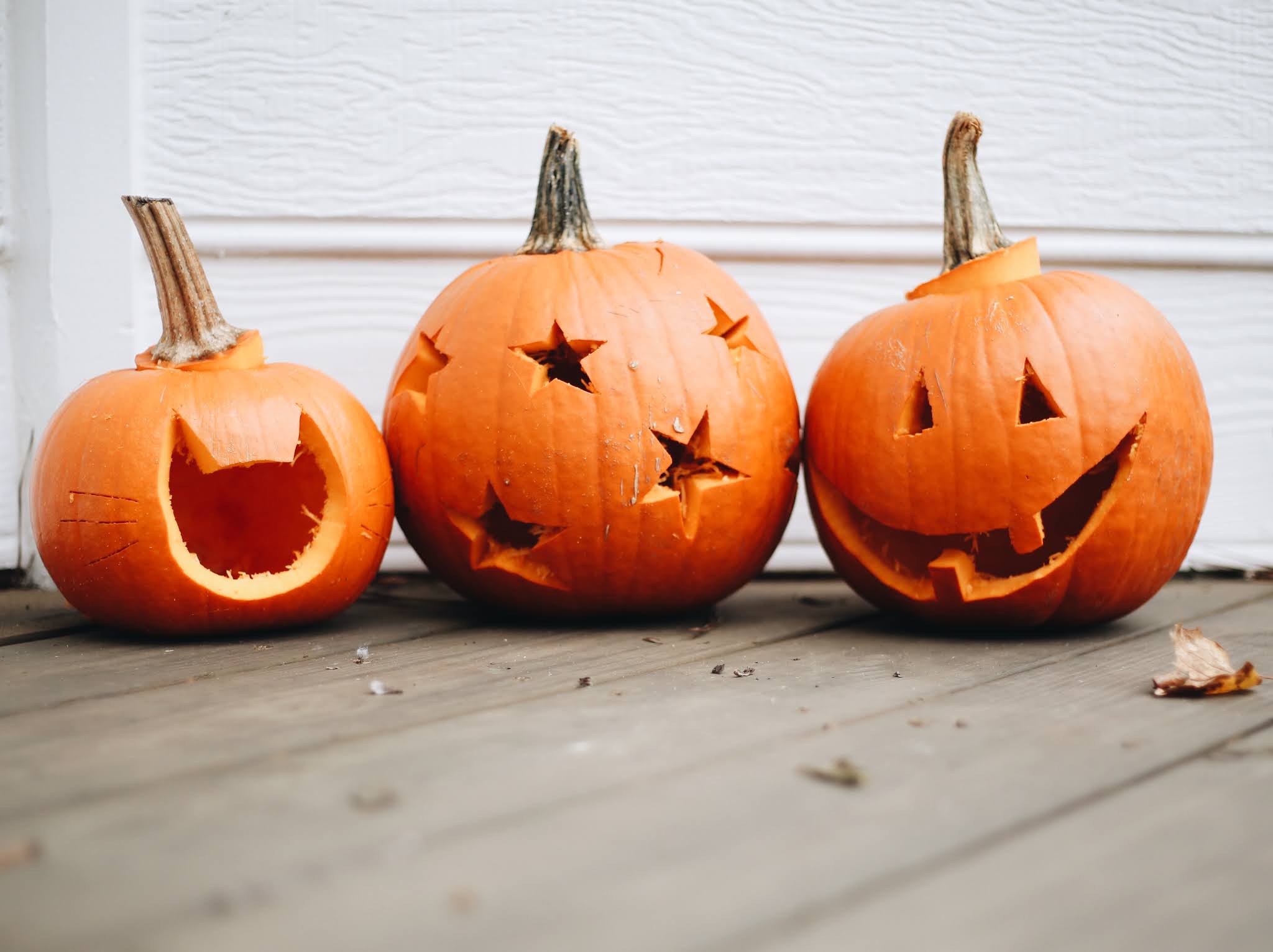 Garvin and Co. Carved Pumpkins