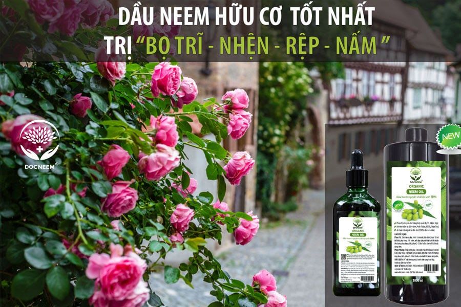 Lựa chọn Dầu Neem thương hiệu Docneem trị sâu bệnh an toàn hơn