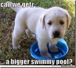 sad-puppy_o_385382