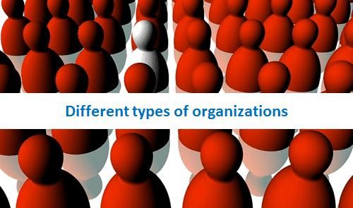Different types of organizations & business intelligence