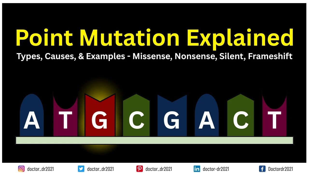Point Mutation: Definition, Mechanism, Types & Applications in Genetics - Genetics By Microbiologist Doctor_dr2021