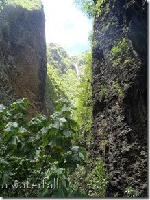 PC090024