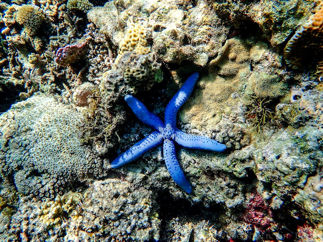 Calibangbongan-Island-Archipel-de-Linapacan-Philippines