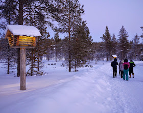 Winter at Kakslauttanen, Finnish Lapland