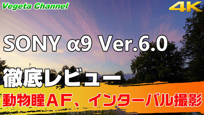  SONY α9 Ver.6.0 徹底レビュー 動物瞳AF、インターバル撮影（4K）