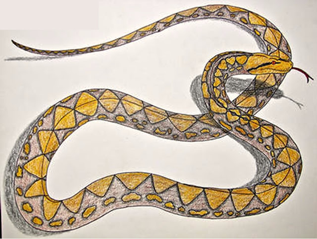 Reticulated Python.