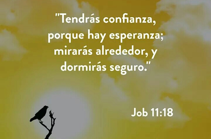 Job 11:18