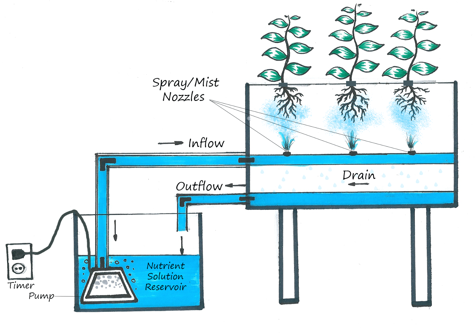optimize access to air for successful plant growth. Aeroponics ...
