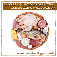 http://maisdoquelindeza.blogspot.com.br/2014/06/quantidade-ideal-de-proteina-para-seu.html