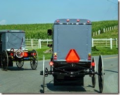 Traffic at the Family Farm Days