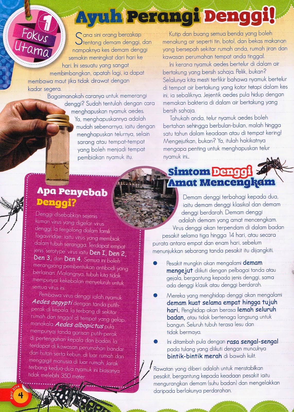 Dengue Patrol SK Seri Sentosa: Info Denggi