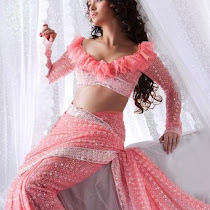 Gujrati Sari