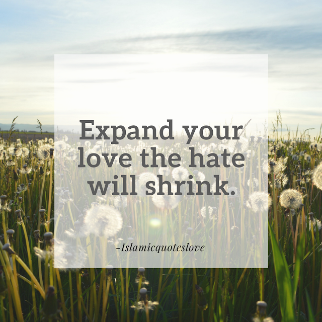 Expand your love the hate will Shrink.