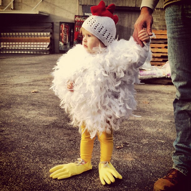The Burnett Brood DIY  Chicken  Halloween Costume 