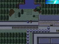 Pokemon Dawn Screenshot 01