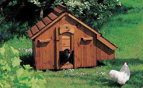 ... Build a Chicken Coop - 6 Crucial Elements on Building a Chicken House
