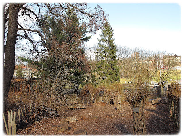 Vårstemning i Botanisk hage på Tøyen i Bydel Gamle Oslo.