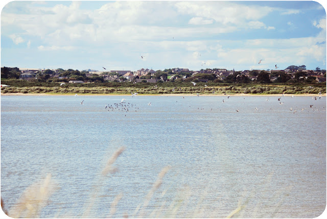 Newburgh beach Aberdeenshire 