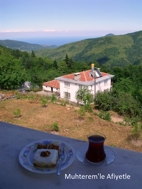 Kastamonu'dan manzara resmi