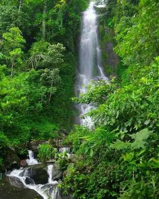 52 TEMPAT WISATA WAY KANAN LAMPUNG TERBARU YANG WAJIB DIKUNJUNGI BERSAMA KELUARGA DAN PASANGAN