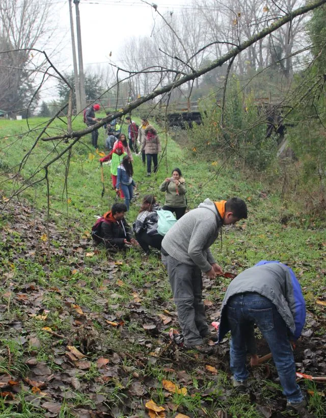 Plantaron árboles y limpieza a orillas del río Damas 