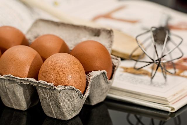 Egg sample as a high-protein foods with the least calories
