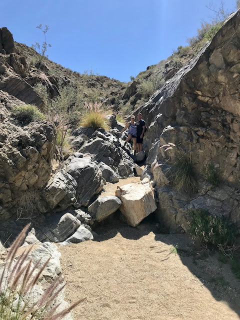 Indian Canyon hiking Palm Springs, Palm Canyon Trail at Indian Springs, East Fork Trail