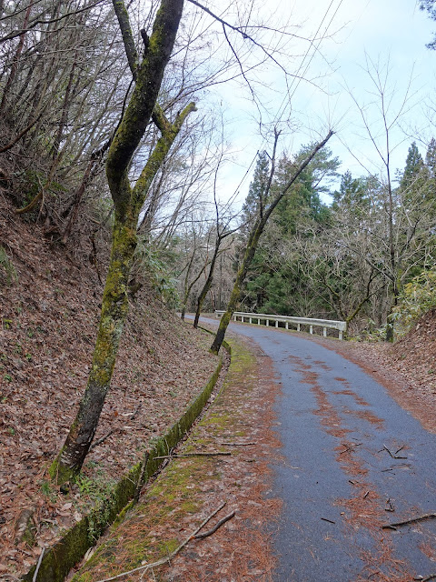 鳥取県西伯郡伯耆町丸山　ふれあいの森キャンプ場に向かう