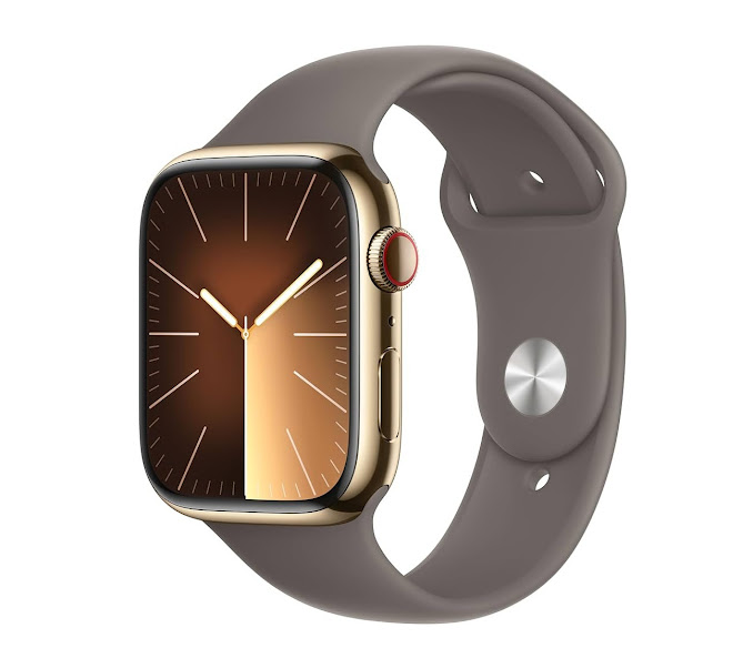 Apple Watch Series 9 (graphite).