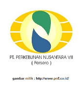 Lowongan Kerja BUMN PT Perkebunan Nusantara VIII