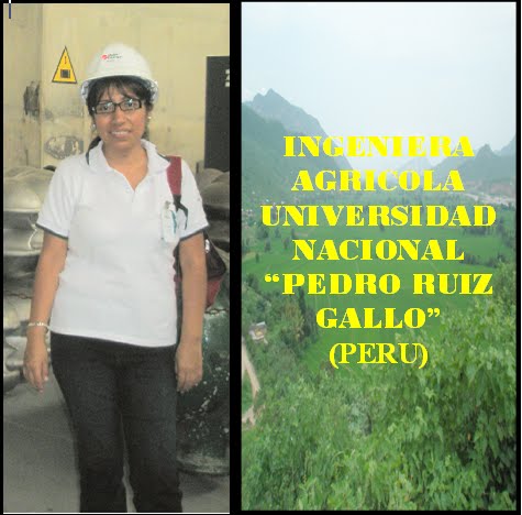 GLORIA SOLEDAD AGUILAR RIVERA