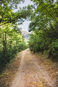 Ruta de las Fuentes