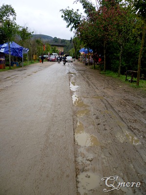 P1010546