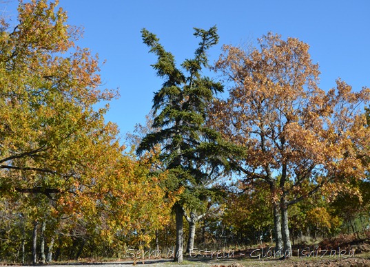 Glória Ishizaka - Serra da Estrela 6