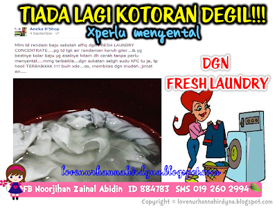 shaklee fresh laundry testimoni